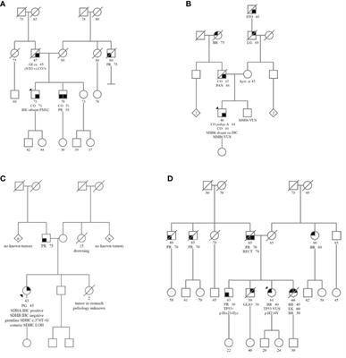 An integrated somatic and germline approach to aid interpretation of germline variants of uncertain significance in cancer susceptibility genes